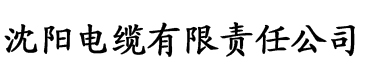 小唐璜的情史电缆厂logo